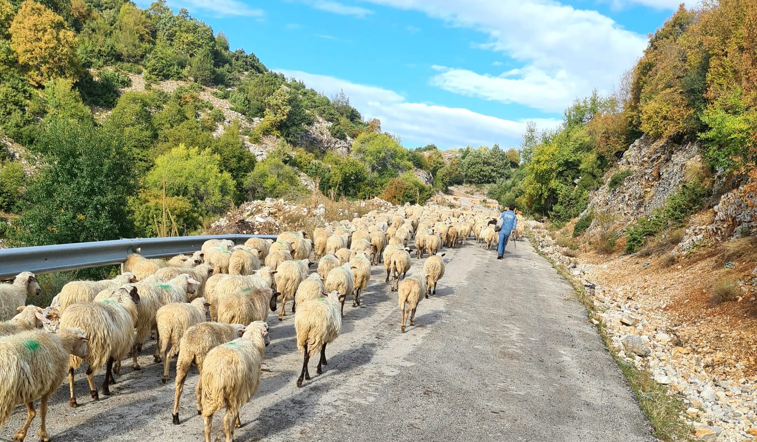 Unberührte Ecken im Norden Griechenlands entdecken